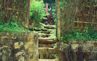 Village path