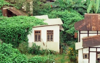 Village homes