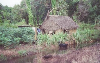 Village hut